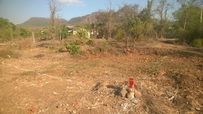 Property in Alibaug