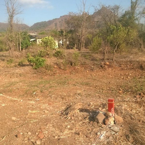 Property in Alibaug